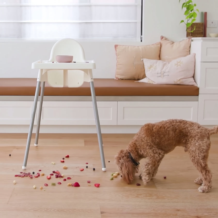 Il cane sotto il seggiolone